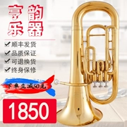 Nhạc cụ Hengyun thả B số ôm trên bass lớn ôm số phím loại ôm loa trầm đảm bảo chất lượng - Nhạc cụ phương Tây