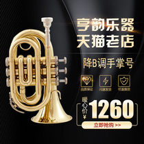 Hengyun Instrument Lowering B Hand Palm Pocket Small Small Small Small Exquisite Manufacturer Direct Sale Lifetime Warranty