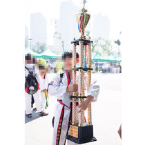 Taekwondo trophy customized professional taekwondo portrait high-grade multi-layer four-pillar Trophy three-layer taekwondo competition