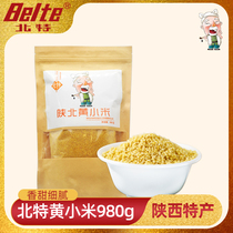 Beite Millet Shaanxi Yellow Millet 980g Five grains Shaanxi specialty Yellow River Millet farm moon rice