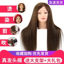 Copyhead makeup by a full-fledged apprentice fake head model practice model head hairdresser
