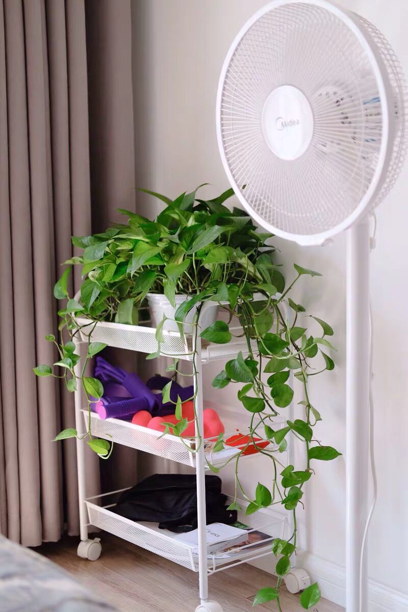 Kitchen Moving Small Trolley Shelve With Wheels Floor Living Room Debris makeup containing medecor beauty tool cart