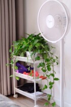 Kitchen mobile trolley rack with wheels floor-to-ceiling living room sundries makeup storage manicure beauty tool cart