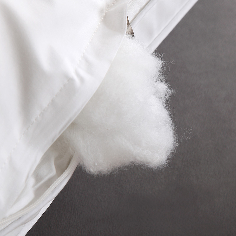 �����޼ҷ�ȫ�޳�����оB1703301