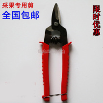  Factory direct sales picking old-fashioned steel fruit citrus orange cut grape apple Wendan pruning strip spring scissors