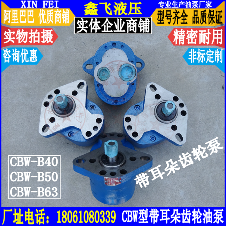 With ear pump CBW-B40 TCBW-B50 ZCBW-B63 ZCBW-B63 CB-B50-D gear oil pump cast iron lathe
