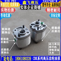 CBK-F0 6 F0 75 CBK-F0 8 CBK-F1 0 F1 2 F1 3 f gear pump L CBJ
