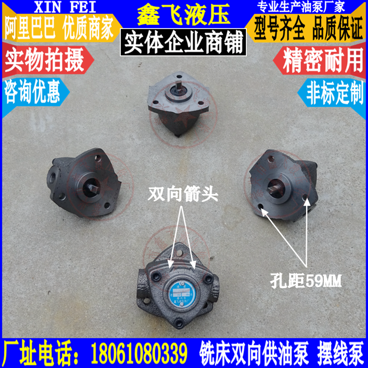 SBRB-3 Qiqihar 6132C milling bed oil pump X5040 cycloid pump 4 2 5 Machine bed accessories Daquan BRB