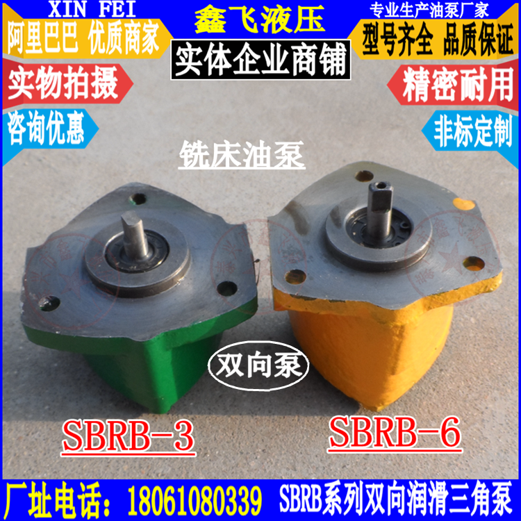 SBRB-6 SRHB-3 Bidirectional lubrication pump Cycloid pump SX BRB-2 Milling machine accessories T6123 Zhongjie oil pump 1