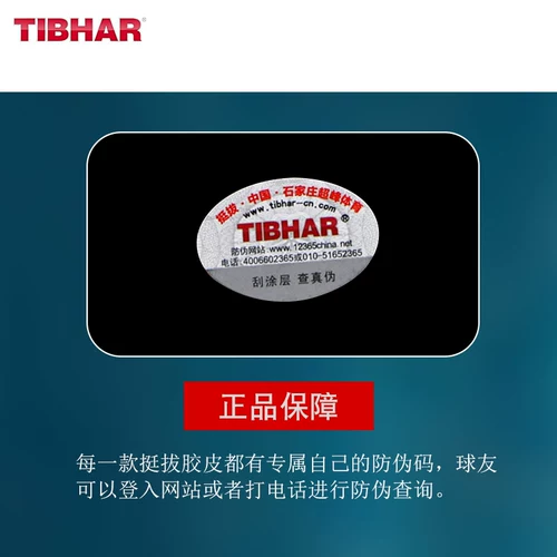 Германия Тибхар в вертикальном положении 5Q Poly Energy 5QVIP настольный теннис