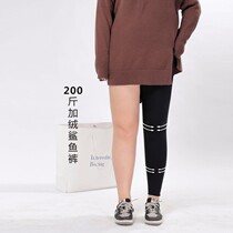 (Shoot 2 pieces minus 20 yuan )Muzi ideal large size leggings female fat mm plus velvet wear 200 pounds of shark pants