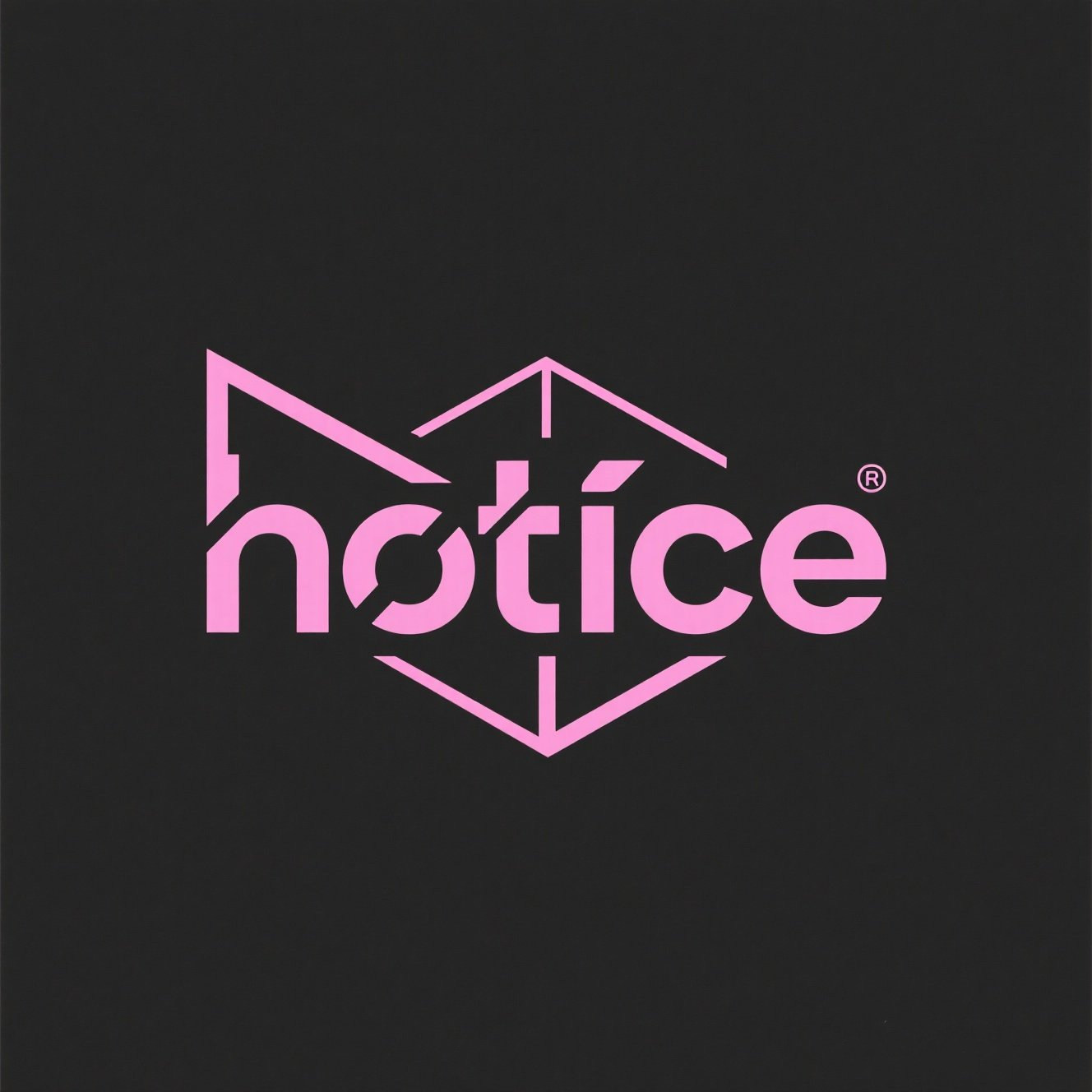 热冰Hotice高端定制的LOGO