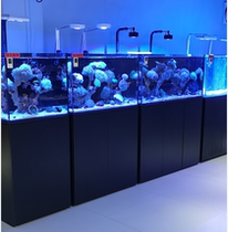 Customized fish tank arowana tank super white tank manufacturer customized seawater fish tank