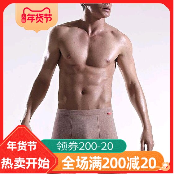 New men's underwear natural organic cotton solid color modal cotton material boxers boxers men's shorts