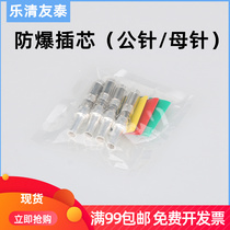 Non-spark type explosion-proof plug socket plug pin insert male needle female needle silver plated copper piece single Yueqing Youtai manufacturer