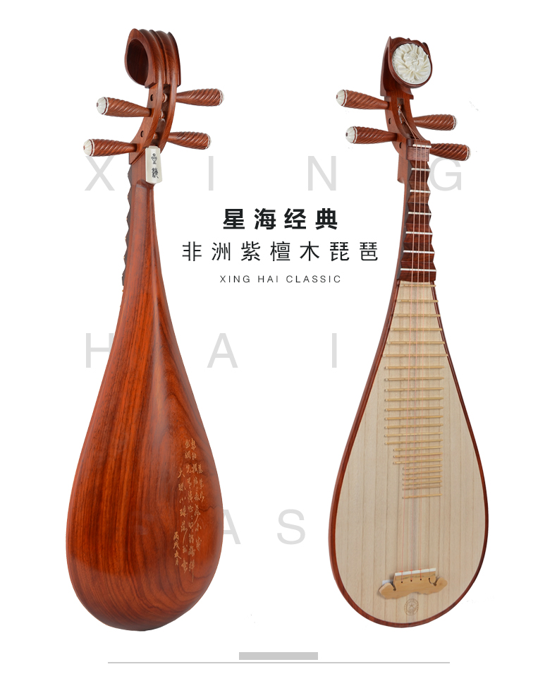 Bắc Kinh Xinghai 琵琶 8912-2 gỗ hồng mộc thực hành người lớn chơi thơ gỗ gụ cấp nhạc cụ dân tộc cổ cầm và đàn tranh