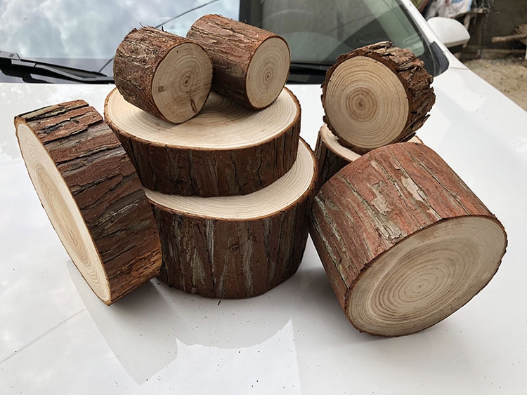 Cọc gỗ nhỏ đồ trang trí tinh khiết tự nhiên linh sam chụp ảnh sáng tạo đạo cụ đám cưới lò sưởi trang trí đồ nội thất trang sức phụ kiện trang trí nội thất
