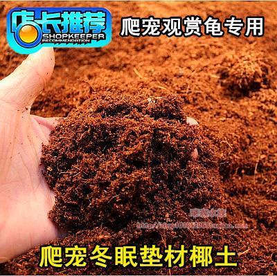 Extra-large Package 500g Sri Lankan coconut Coconut Mat sterile tumulus Hibernation Coconut yellow edge over winter has been soaked