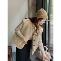 THXGIVING Korean version of lamb plush outside wearing waistcoat waistcoat winter new V collar single row buttoned jacket 16293