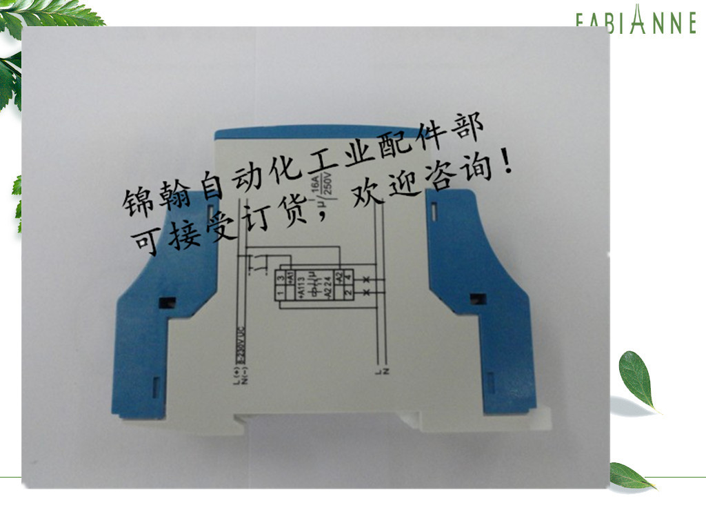 The German ELTAKO R12-200 relay R12-110 24VDC 24VDC