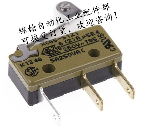 The BURGESS micro-switch XCG8-Z1