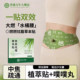 Mugwort puff patch, acupoint patch, herbal patch for dehumidification