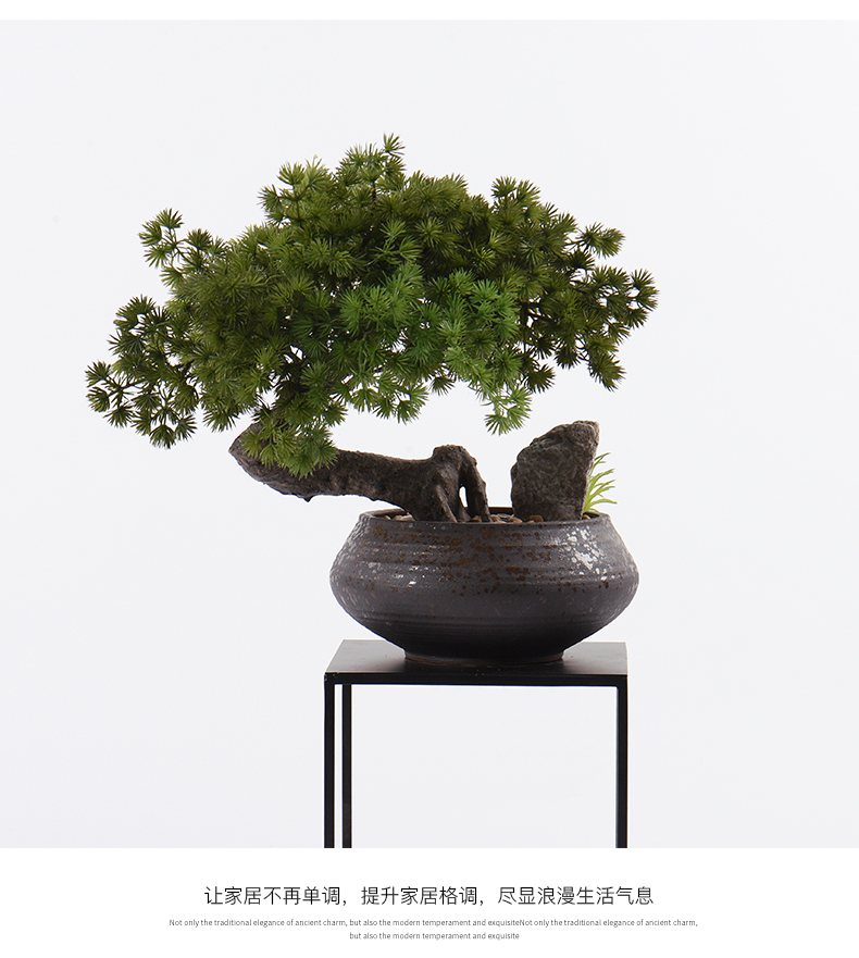 New Chinese style guest - the greeting pine bonsai place dry landscape example room micro landscape, green plant ceramic pot home decoration