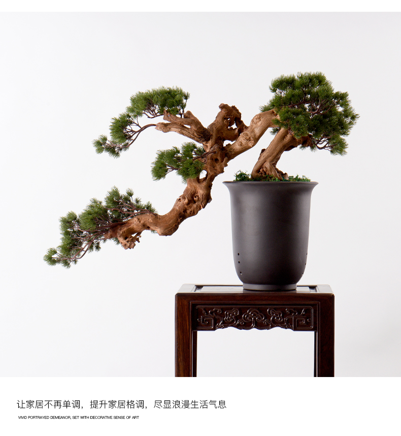 New Chinese style water simulation guest - the greeting pine wood rockery miniascape of I sitting room dry landscape ceramic study zen furnishing articles