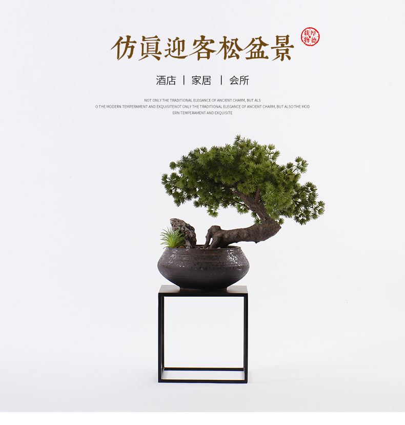 New Chinese style guest - the greeting pine bonsai place dry landscape example room micro landscape, green plant ceramic pot home decoration