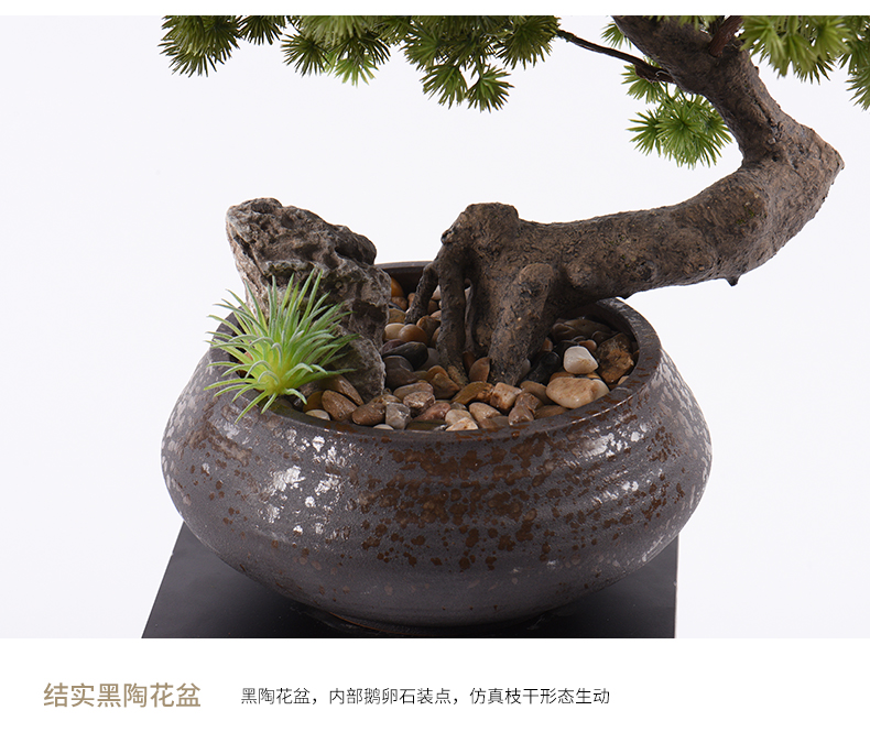 New Chinese style guest - the greeting pine bonsai place dry landscape example room micro landscape, green plant ceramic pot home decoration