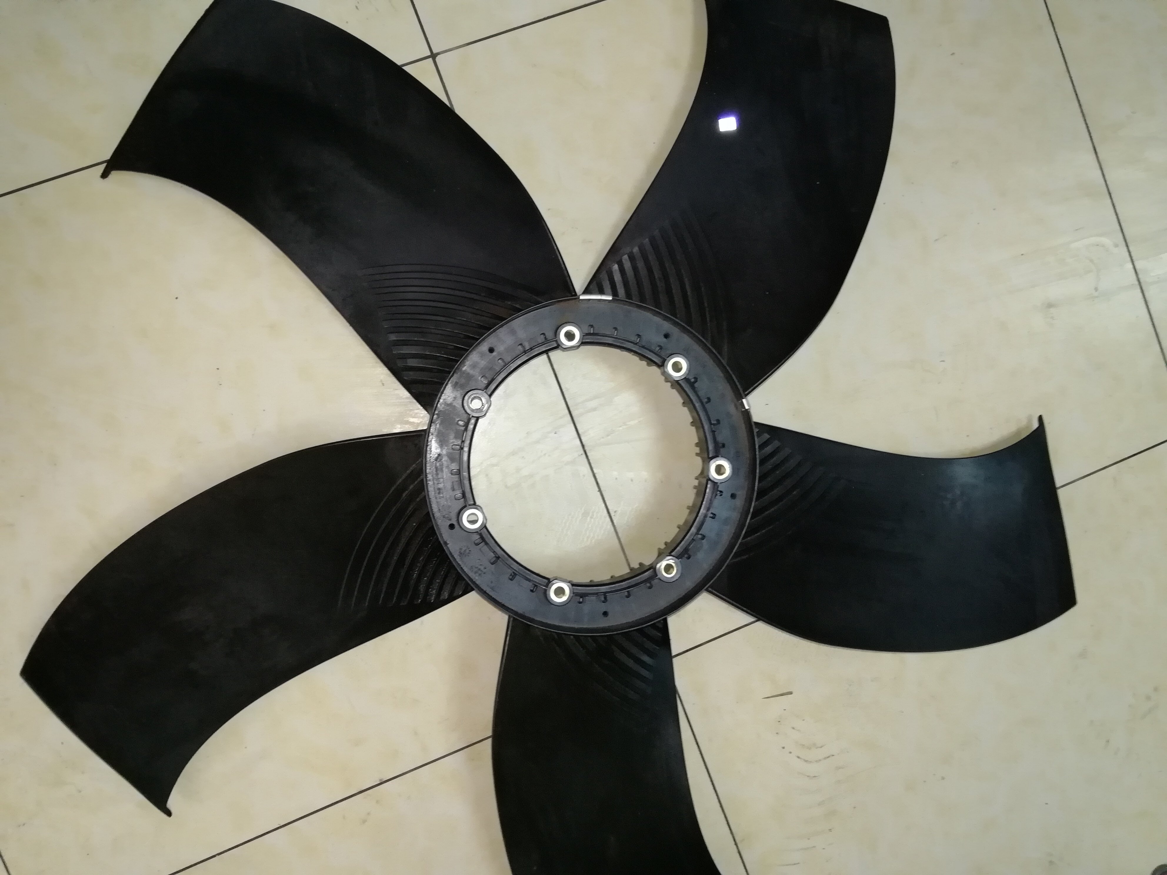 The York fan of York