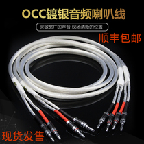 Dutch single crystal silver 5NOCC fever speaker speaker cable HIFI audio cable speaker power amplifier front and rear stage speaker