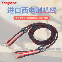 Bile machine love antique imported Western electric speaker line speaker line fever HIFI pure copper audio line filter ring
