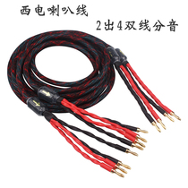 Bile machine love super poison 16-core Western electric antique cable dual-wire split speaker cable fever HIFI audio speaker cable