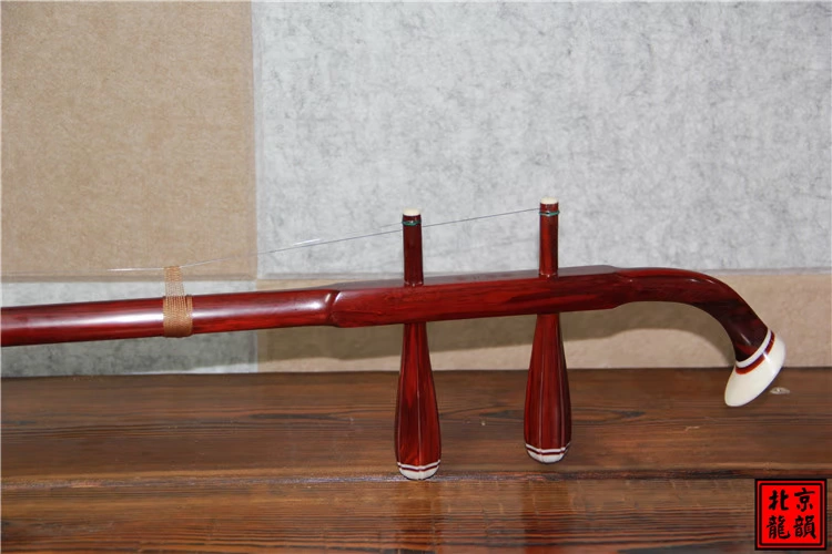 Longyun Erhu Nhạc cụ Nhà máy Cửa hàng Fine Rosewood Erhu Số Hai09b23 - Nhạc cụ dân tộc