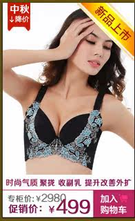 Pads pour soutien-gorge KJ001 - Ref 816796 Image 28