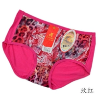 9177 Rose Red