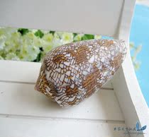 Full RMB35  natural sea snail shells 6-8 cm Flower artichokes collection