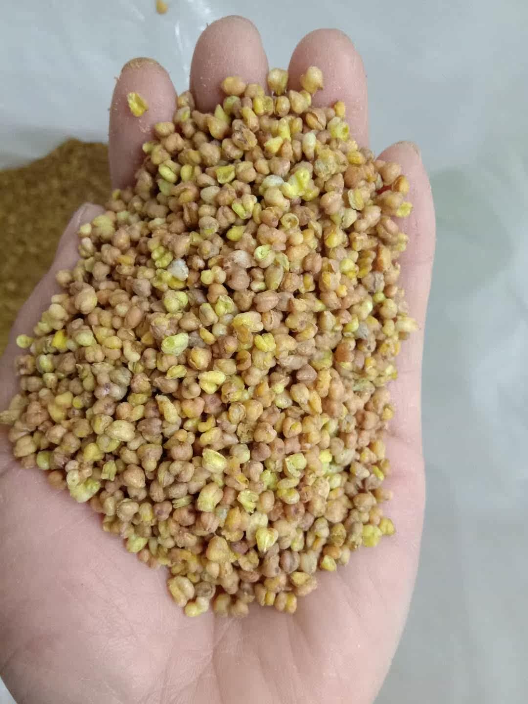 New yellow tartary buckwheat tea various flower tea buckwheat tea microwave puffed buckwheat 500g 6 servings