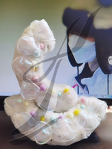 Pick up - figure skating soft knife cover basic style - milk tea style