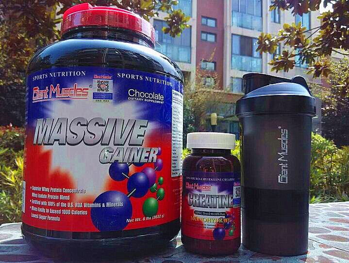 Free Shipping on Giant Muscle Gainer Protein Powder 8 Lbs, Includes 220g of Creatine or L-Carnitine, and Comes with a Shaker Cup