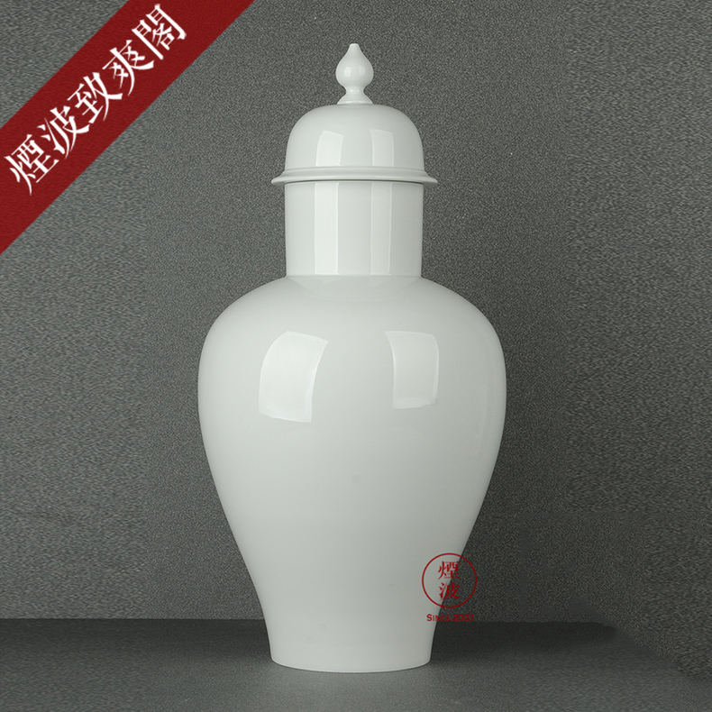 German mason MEISSEN porcelain limited works pure white vase (with cover) the general pot of floral outraged