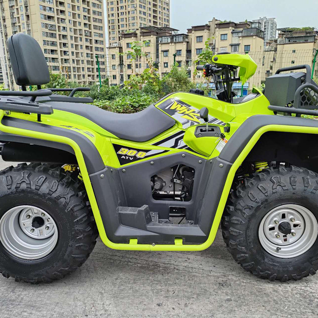 Wehrhans ຍານພາຫະນະທຸກພູມສັນຖານ ATV300 ລະບາຍນ້ໍາ / ລົດຖີບພູເຂົາ / ລົດຈັກ quad