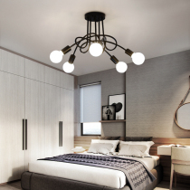 Nordic ceiling lamp Living room lamp Atmospheric household personality Bedroom lamp Lighting net red light Simple modern restaurant lamp