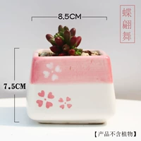 Танец бабочки D