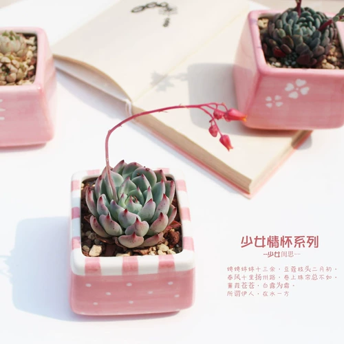 Taobao Hot, продавая розовую девушку сердечную серию.