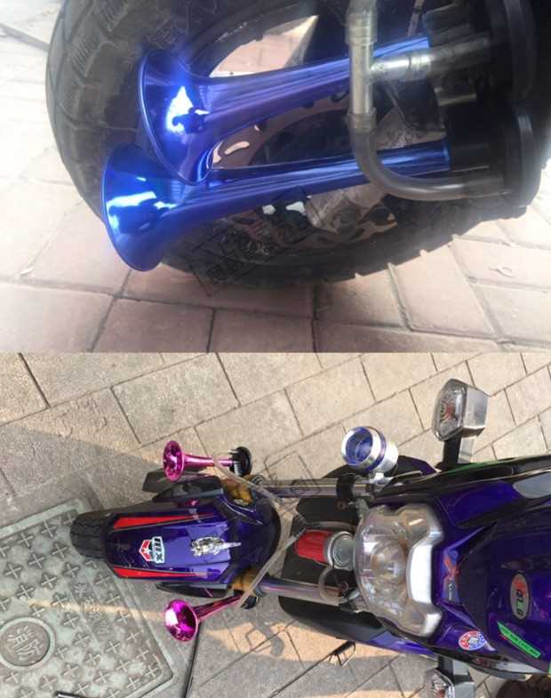 Phụ kiện xe máy chính hãng năm loa sư tử 12 v12V xe điện còi hơi còi siêu âm - Sừng xe máy 	loa bluetooth xe máy	