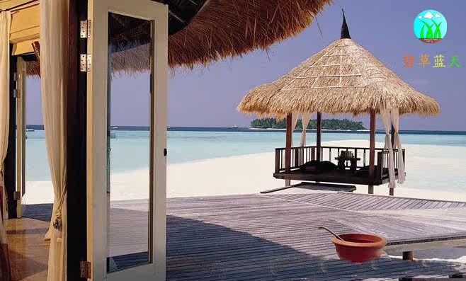 13-1031773-2574308_dat .jpg