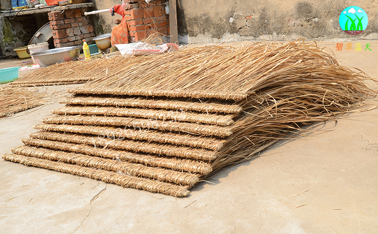 Zs%b%5s ~ 5r6y6m1`_4) 9m {g_ copy .png