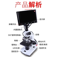 Микроскоп, увеличение в 1600 раз